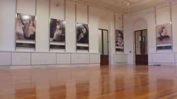 la indignante provocacion del gobierno de javier milei a las mujeres este 8 de marzo la indignante provocacion del gobierno de javier milei a las mujeres este 8 de marzo