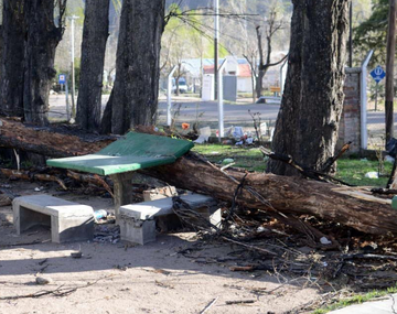 Mirá cómo sopló el viento Zonda en Mendoza