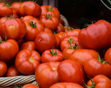 Bajó el precio del tomate: dónde comprarlo más barato