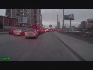 Un gatito casi es aplastado por un auto