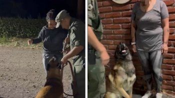 Uno de los perros de la Policía detectó que la mujer transportaba narcóticos en su cuerpo. Uno de los perros de la Policía detectó que la mujer transportaba narcóticos en su cuerpo.