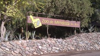 crisis en el zoo de mendoza: se registaron mas muertes y denuncian que se podian evitar crisis en el zoo de mendoza: se registaron mas muertes y denuncian que se podian evitar