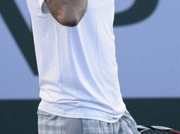 del potro sigue avanzando en indian wells del potro sigue avanzando en indian wells