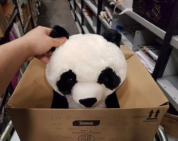La conmovedora carta de un nene que quería un panda de peluche
