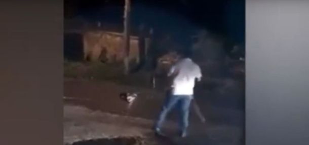 Un cocodrilo se comió un perro en México