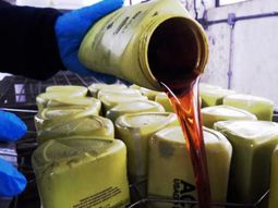 Hasta 2023, ALUR ya recicló más de 2,5 millones de litros de aceite de cocina usado. Hasta 2023, ALUR ya recicló más de 2,5 millones de litros de aceite de cocina usado.