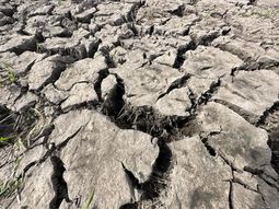 Los departamentos de Canelones y Lavalleja son los más comprometidos de Uruguay. Los departamentos de Canelones y Lavalleja son los más comprometidos de Uruguay.