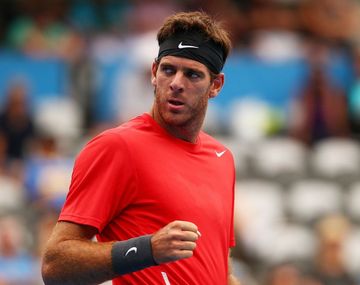 Del Potro venció al esloveno Lacko en Washington