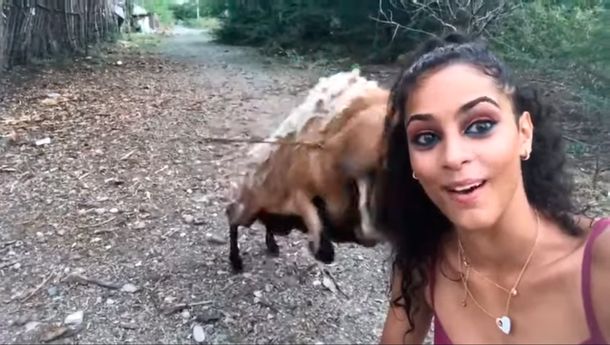 VIDEO: Una cabra embiste a una mujer mientras se sacaba una selfie con ella