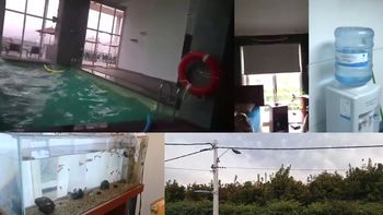 Distintos videos registraron cómo se vivió el sismo en Chile Distintos videos registraron cómo se vivió el sismo en Chile