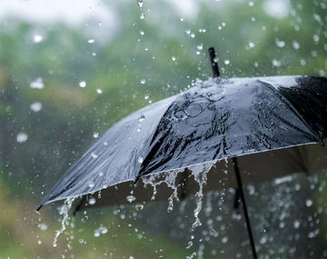Según la IA, a estos signos del zodíaco no les gusta salir con lluvia