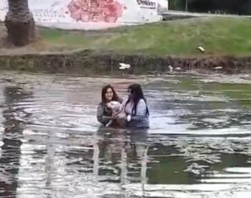 Dos mujeres rescataron a un perro que se ahogaba en La Plata