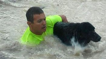 Foto: Matías Alarcón. Foto: Matías Alarcón.