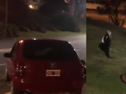 Mar del Plata: atropelló a un ciclista y lo tiró por la barranca de la escollera norte