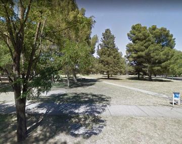 Un Rottweiler atacó a un nene de 4 años en Bahía Blanca y lo dejó internado