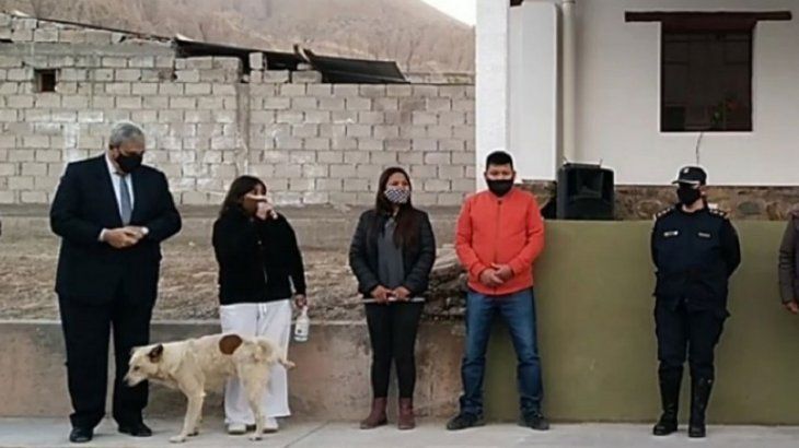 El video que se hizo viral: un perro callejero orinó a una intendenta en pleno acto