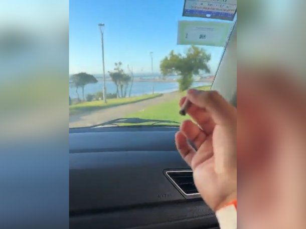 Video: cruzaron un parque de Mar del Plata en auto y lo viralizaron