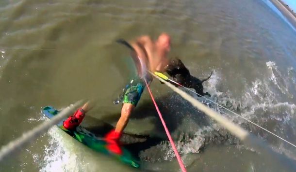 Punta Rasa: un pitbull atacó a un kitesurfista