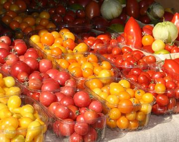Tomate2