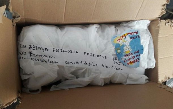 Foto: diario El Tribuno.