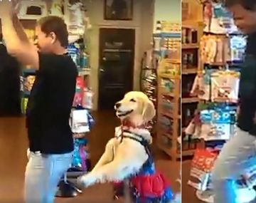 El perro que baila salsa