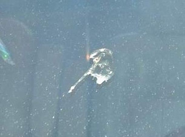 Insólito: encuentran la imagen de Jesús en excremento de aves