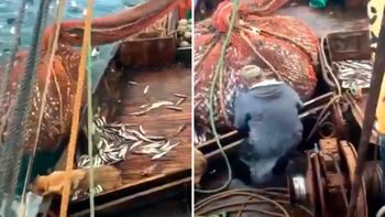 Tremenda sorpresa se llevaron los pescadores al descargar la red Tremenda sorpresa se llevaron los pescadores al descargar la red