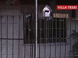 el joven que atropello y mato a un bebe en villa tesei estaba borracho el joven que atropello y mato a un bebe en villa tesei estaba borracho