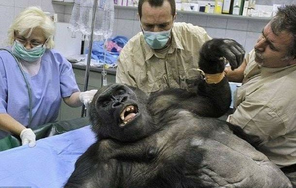 Los mejores memes por el control de cambios