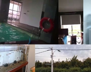 Distintos videos registraron cómo se vivió el sismo en Chile