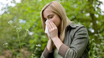 ¡llega la primavera! cinco consejos para evitar las alergias ¡llega la primavera! cinco consejos para evitar las alergias