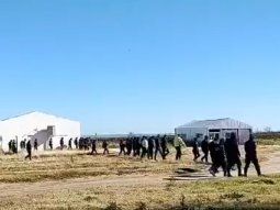 buscan a guadalupe lucero: rastrillaje de urgencia en un predio de 500 hectareas