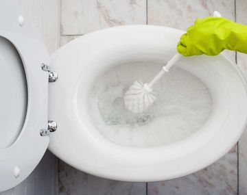 Hoy es el día mundial del inodoro