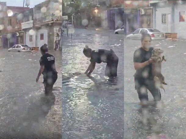 Temporal en la Ciudad: el tierno video de un policía salvando a un perro