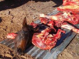 Foto: diario La Mañana de Neuquén.