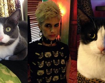 Encuentra a sus gatos a una semana de la explosión de un edificio en Nueva York