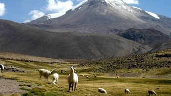 emiten una alerta amarilla por aumento de la actividad en otro volcan chileno emiten una alerta amarilla por aumento de la actividad en otro volcan chileno