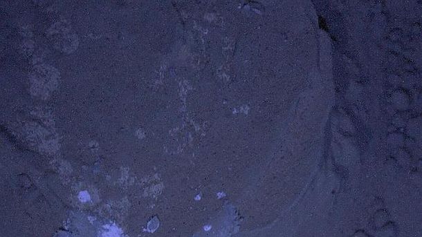 Publican las primeras fotos nocturnas de Curiosity en Marte