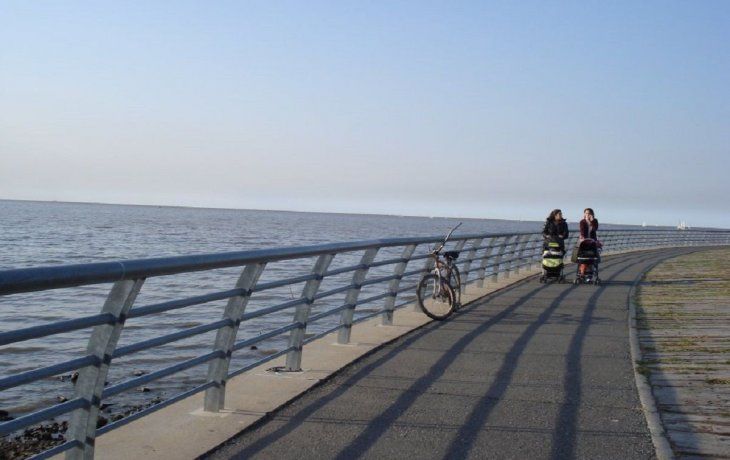 A pesar del fuerte rechazo popular, Rodríguez Larreta avanza con la privatización de tierras que dan al río