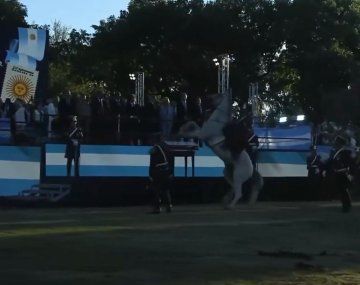 Video: el accidente de un granadero a caballo ante la mirada de Milei