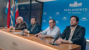 Los legisladores de Cabildo Abierto condicionaron su voto para aprobar la reforma de la Caja de Profesionales. Los legisladores de Cabildo Abierto condicionaron su voto para aprobar la reforma de la Caja de Profesionales.