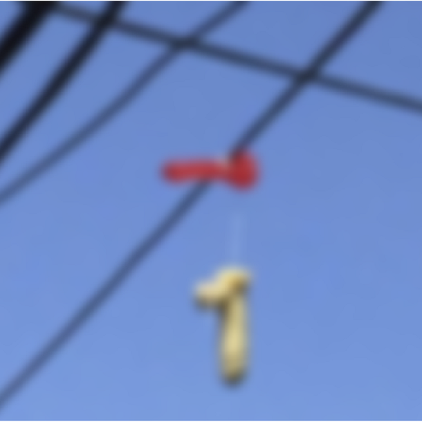 Insólito: una ciudad amaneció repleta de juguetes sexuales