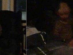 Captó el fantasma de un nene diabólico que lo persigue hasta en sus sueños