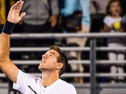 Del Potro derrotó a Dzumhur - Crédito: @delpotrojuan Del Potro derrotó a Dzumhur - Crédito: @delpotrojuan