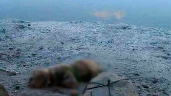 ato un perro cerca del mar para ahogarlo ato un perro cerca del mar para ahogarlo