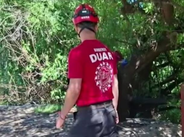 Horror en Córdoba: su perro apareció con un hueso y sospechan que se trata de restos humanos