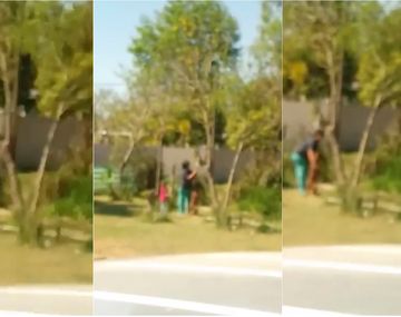 VIDEO: Una mujer apuñaló y dejó desangrar a un perro