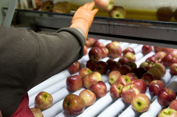 Brasil reabrió el comercio frutihortícola con el país y se alivia el conflicto en el Sur