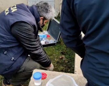 Encontró un pene en un frasco mientras cortaba el pasto en Balcarce