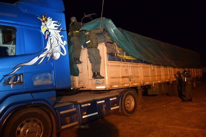 Contrabando de granos: secuestran 451 toneladas de soja y 28 toneladas de maíz trasladados en 14 camiones